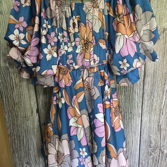 Floral Off-Shoulder Dress in Blue and Pink - Picture 9 of 9